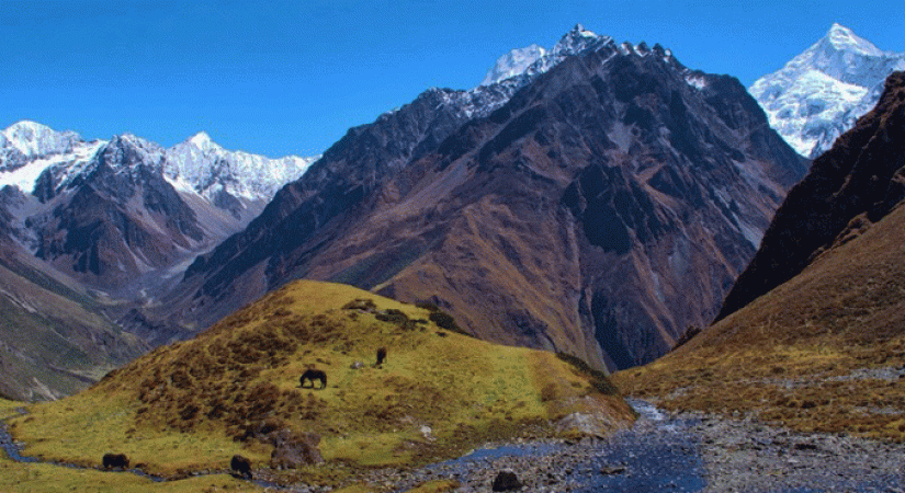 Ganesh-Himal-Base-Camp-Trekking3-825×450