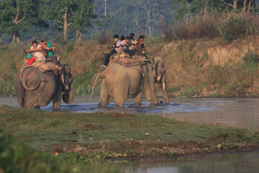 Jungle_Safari_Chitwan